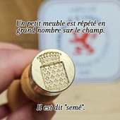 Vous aviez remarqué que les fleurs de lys ressemble beaucoup à des iris des marais ?

🌿⚜️ Selon la légende, lors d’une guerre contre les Wisigoths, une biche guida Clovis à travers un gué sur la Vienne. Sur les rives, des iris des marais stabilisaient le sol, sauvant son armée de l’enlisement. En souvenir de cette aide providentielle, il adopta la fleur comme emblème royale.

Mais alors… pourquoi parler de lys ?
👉 Parce que le mot "lys", associé à la pureté et à la Vierge Marie, portait plus de valeurs chrétiennes et nobles que "iris".
👉 Et parce que la forme héraldique stylisée à trois pétales correspond visuellement bien à l’iris, tout en étant plus simple à reproduire que la fleur naturelle.

Résultat : on a gardé le nom du lys… mais la forme de l’iris. Une belle confusion symbolique, au service de l’histoire 🇫🇷✨

#histoiredefrance #fleurdelys #clovis #héraldique #légende #irisdesmarais #symbole #heraldique #blason